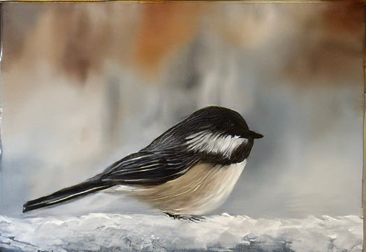 Chickadee Class Janyaury 17, 2026 12:00 -4:00 Est