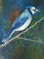 Blue Jay
