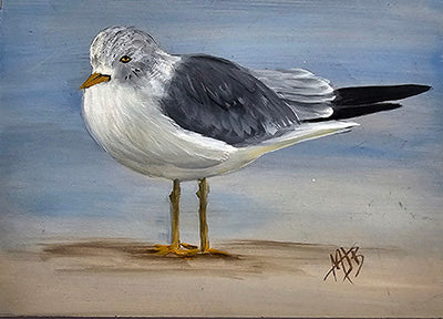 Seagull