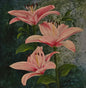 Lilies