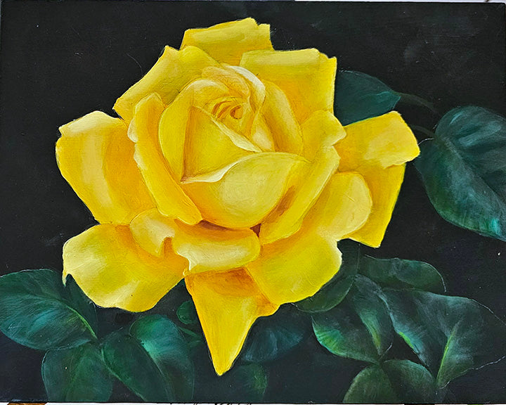 Yellow Rose