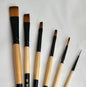Black Gold Class Set