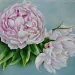 Peonies
