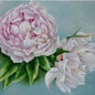 Peonies