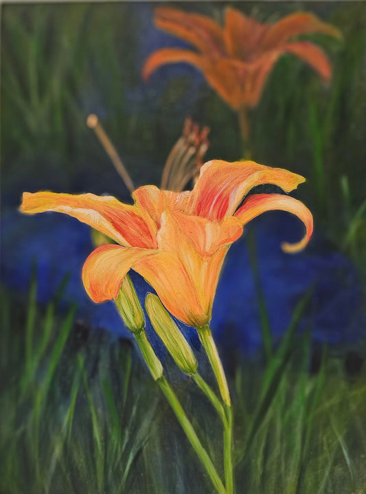 Day Lillies