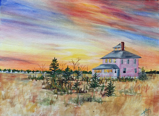 Pink House