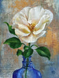 White Rose Mixed