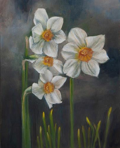 Spring Daffodils