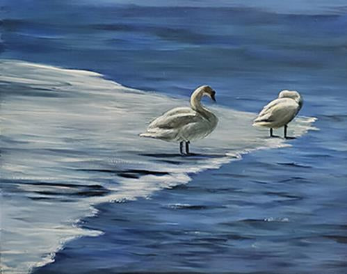 Swans