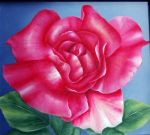 Rose SOLD