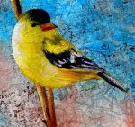 Sweet Yellow Finch e-packet