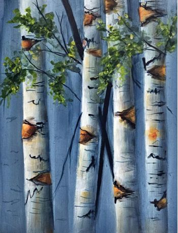 Birch Trees