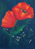 Poppies In The Dark