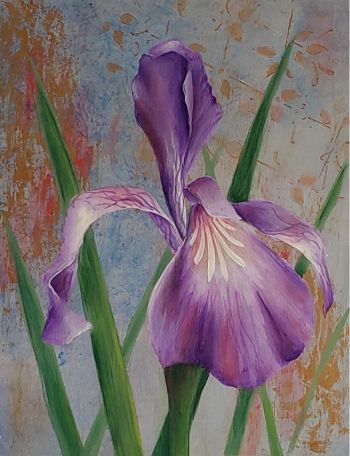Iris Lusters